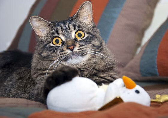 九游app官网下载-“足球+科技”创新成果在行业内掀起“智慧革命”，足球的创新