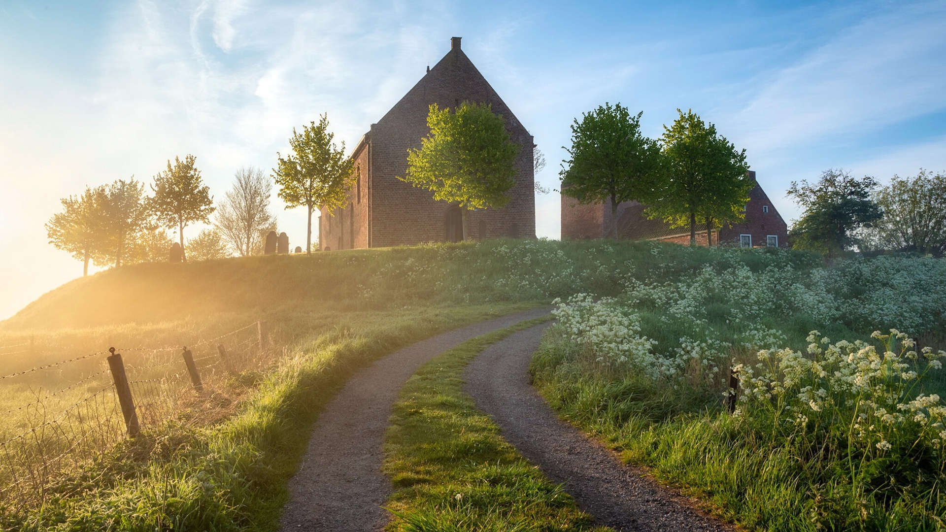 “超越自我！明星运动员在比赛中的极限表现”，明星运动员综艺节目