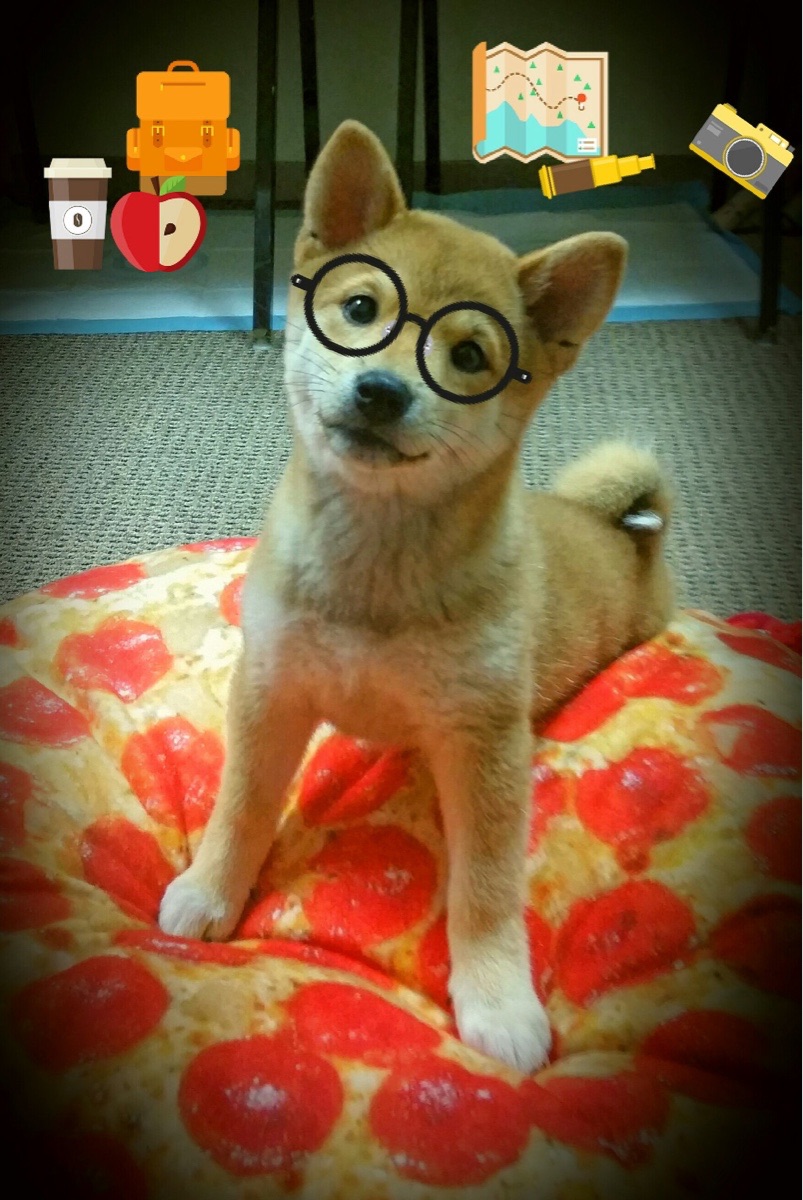 九游娱乐(jiuyou)官方网站-迈阿密热火“铁血防守”，季后赛有望打破所有纪录！，迈阿密热火队员