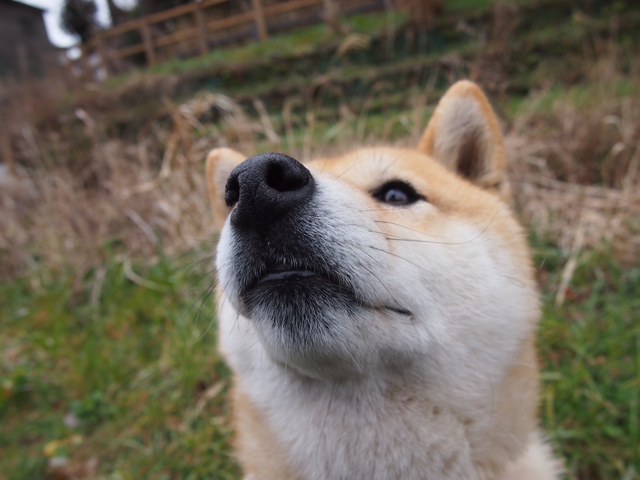JiuyouAPP下载-巴西举办篮球知识讲座，巴西篮球官网