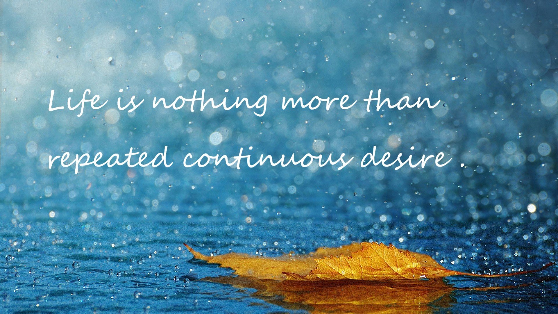 是否应开设联盟球员历史人物进修班