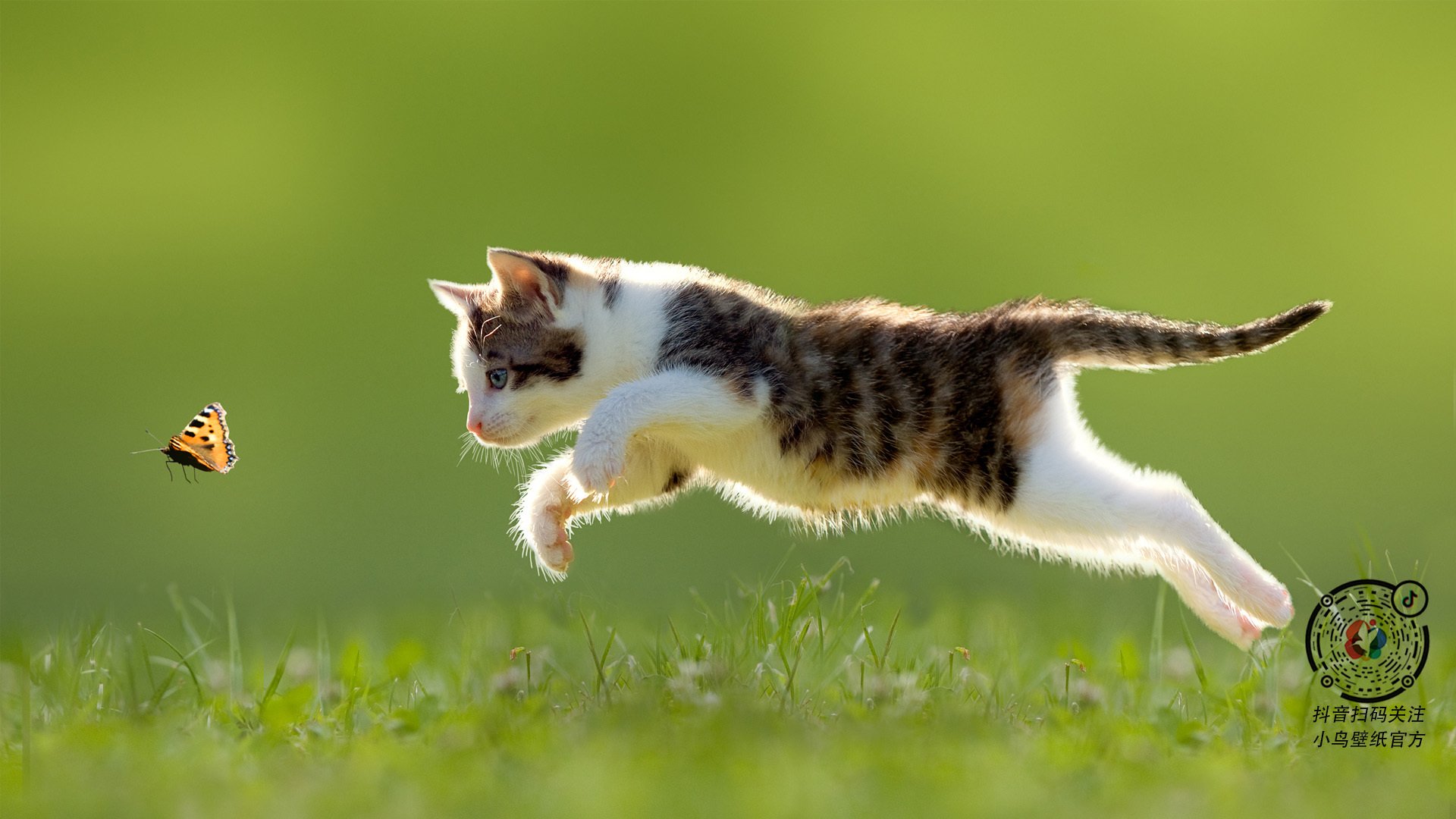 九游娱乐(jiuyou)官网-瑞典球队选出新队长，注入新的领导力量，瑞典球队选出新队长,注入新的领导力量