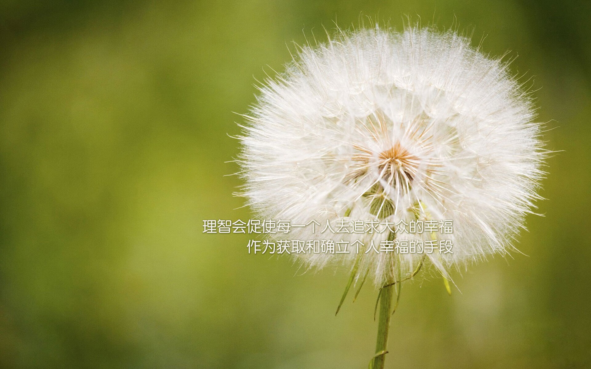 九游app下载中心-长春亚泰球队在客场比赛中保持冷静，取得胜利，2021长春亚泰球员最新消息