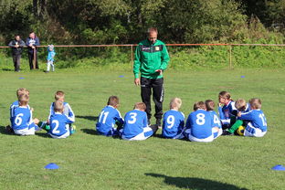 九游网页版官网入口-意甲赛事中应用心理暗示战术干预效果研究