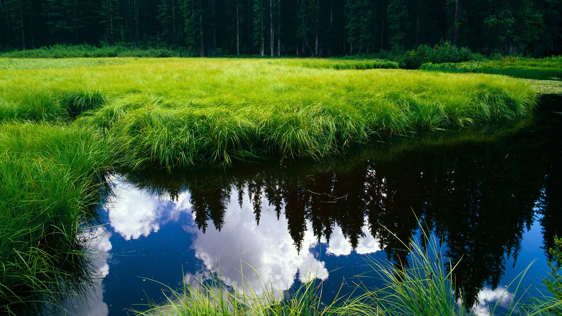 超级杯赛:五大联赛冠军之间的激烈较量,超级杯2020赛程