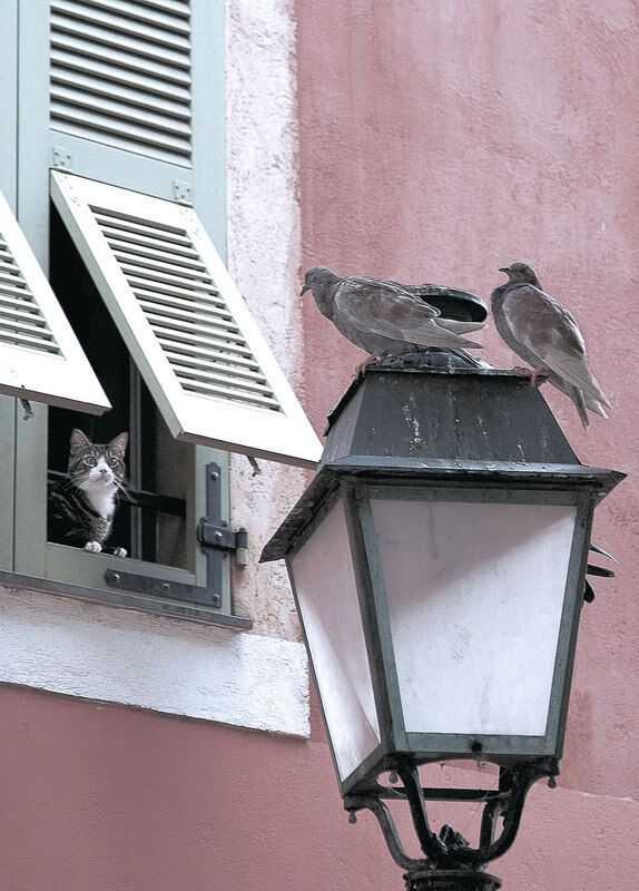 职业联赛推行训练营分享会促进技术经验交流,职业联赛俱乐部