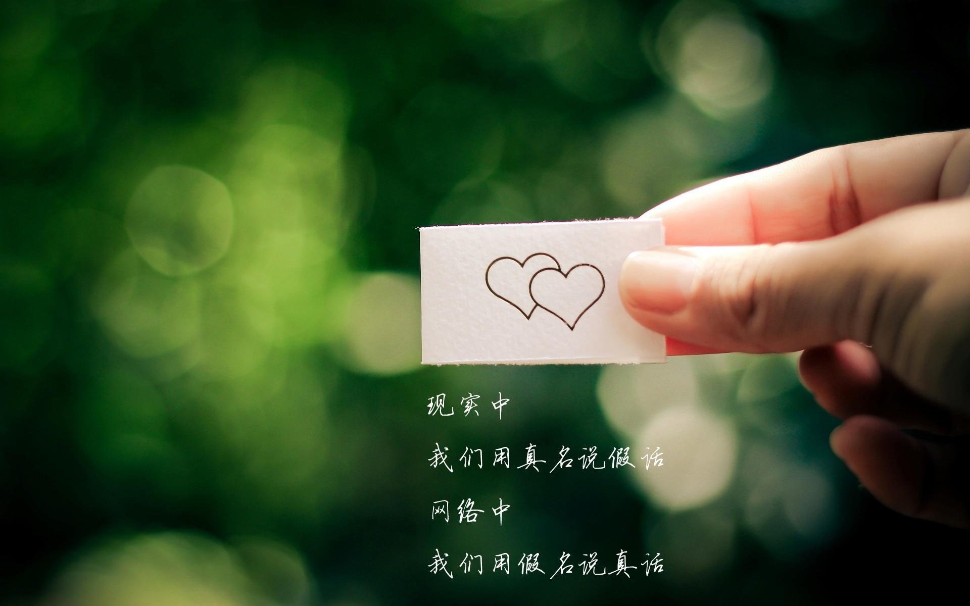 袋鼠队的新星球员不断崭露头角，成为比赛焦点，关于袋鼠队的押韵口号